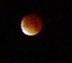Eclipsed moon